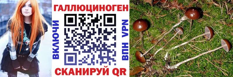 Псилоцибиновые грибы MAGIC MUSHROOMS  цены   Кировск 